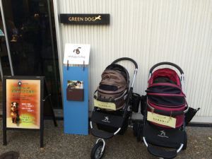 Rental pet strollers parked outside the Green Dog vet, grooming, and treat shop.