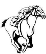 jockey