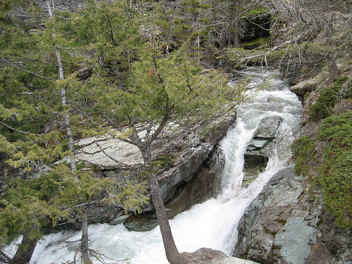 waterfall in a forest