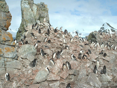 The World Factbook - Antarctica