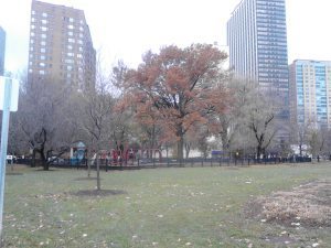 playground