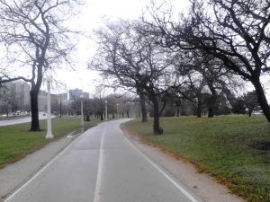runningpath2