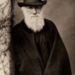 darwin6 pic