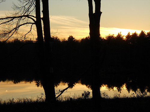 Knight's Pond