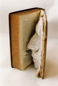 Chaos Publishing, Book Art