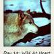 107465188 80 80 #BlogFlash2012: 30 Days, 30 Prompts, 30 Posts: #18 Wild at Heart