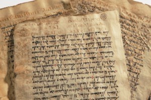 Codex Climaci Rescriptus