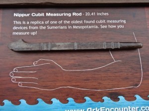 Cubit Length