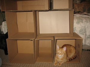 cat_box_tower
