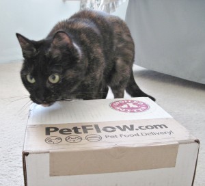 Petflow Spoiled Rotten box