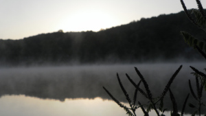 SAMSUNG DIGITAL CAMERA