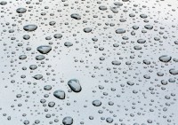 Raindrops