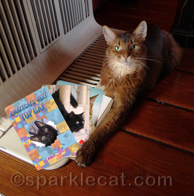 Can you see my friend Smoky? She is the Queen of Hearts!