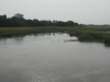 Maria-Sanchez-Creek-as-it-used-to-look-running-through-historic-St.-Augustine