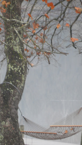 SAMSUNG DIGITAL CAMERA