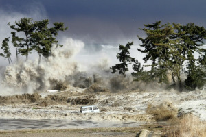 tsunami2
