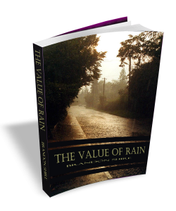 The Value of Rain, gay fiction
