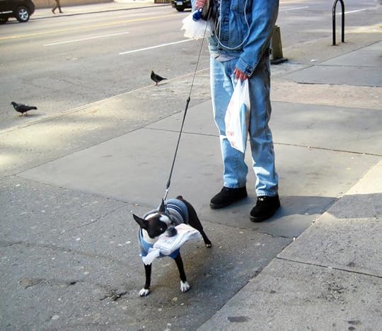 The newspaper carrier