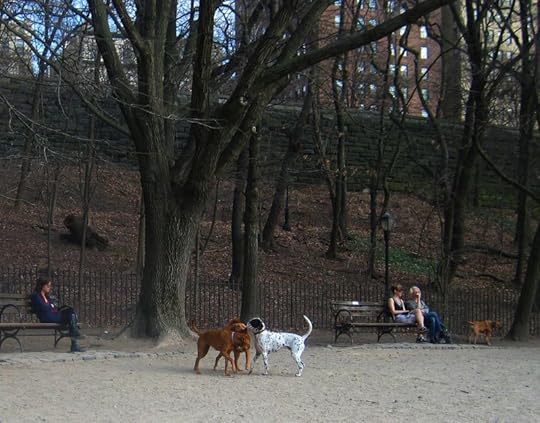 Riverside Dog Park 3