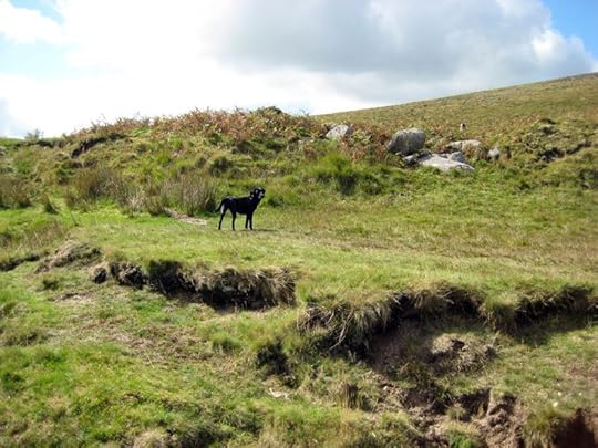 Dartmoor