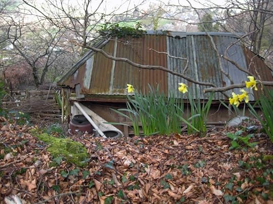 The shed in spring