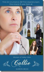 perf5.500x8.500.indd