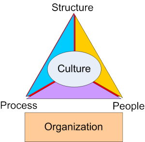 Organization_Triangle