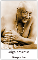 dkrinpoche