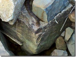 IMG_20120318_174225