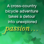RideWithMe_DearAuthorBanner