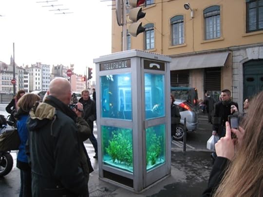 benedetto-bufalino-phone-booth-