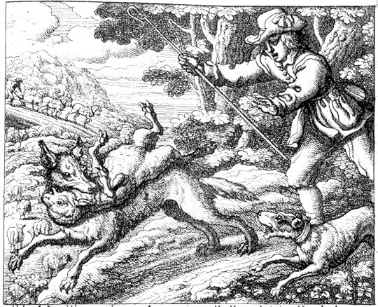 Boycriedwolfbarlow