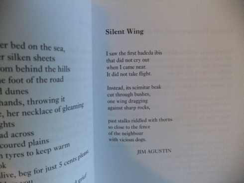 silent wing low res