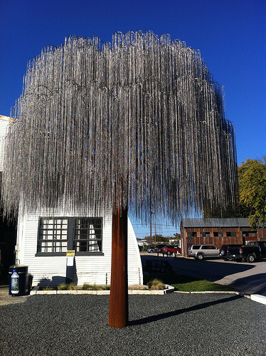 Amazing art in Austin: #fosterstree