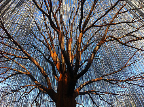 Amazing art in Austin: #fosterstree