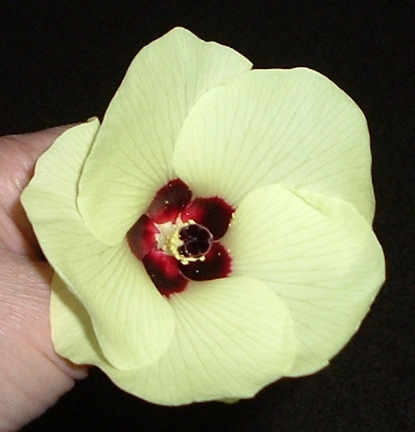 okrafront