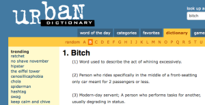 bitchurbandictionary