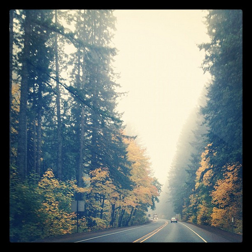 Fog and color on the way to OR coast.