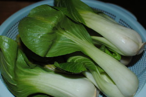 baby bok choy 