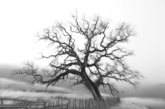 image courtesy of photobucket.com