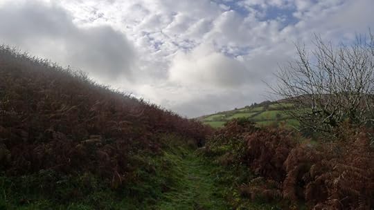 Nattadon Hill 3