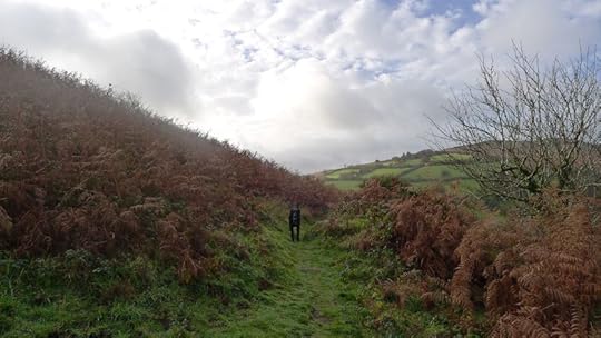 Nattadon Hill 4