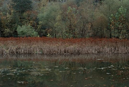 At Bluestone State Park in West Virginia (Photo: Carolyn Manney)