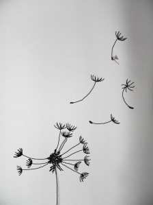 SAMSUNG DIGITAL CAMERA