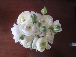 ranunculus