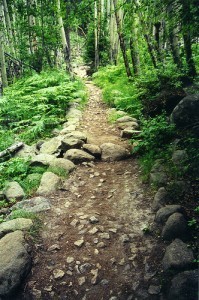 trail in colorado