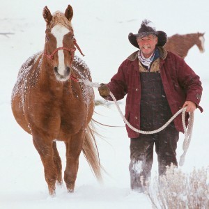 walking conquers chocolate cravings