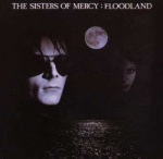 SistersFloodland