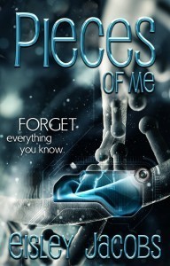 900x1400_Pieces of Me_