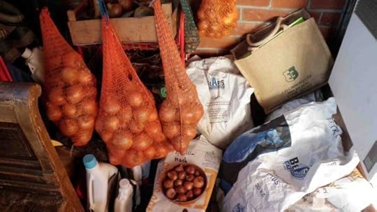 The dry store in our back-door porch with paper sacks of potatoes, orange bags of onions and shallots in yellow and green bags, plus a few that need eating-up in a plastic saucer. Ignore the two plastic bottles of sheep wormer on their way out to the secure store in the barn…
